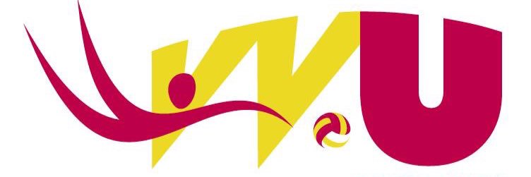 VVUD1's profile banner image