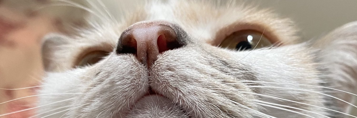 Jemikojae's profile banner image