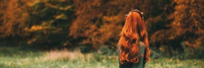 dumbledoresarmj's profile banner image