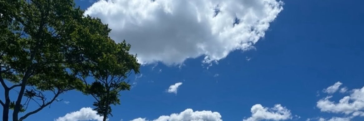 MommaRobinb2's profile banner image