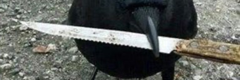 Falchion banner