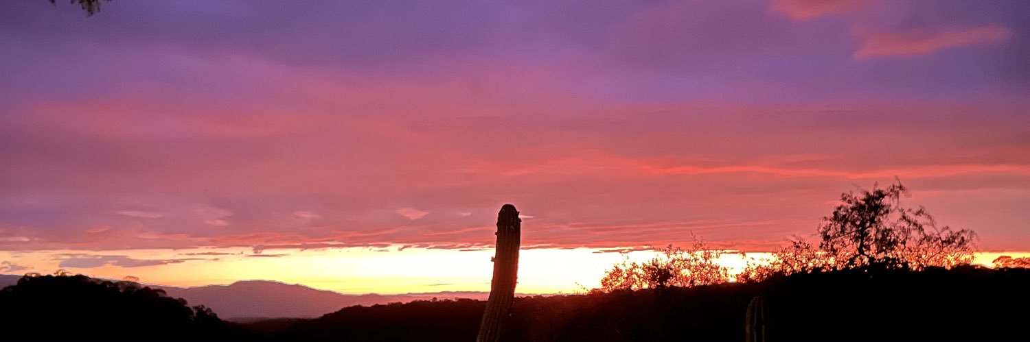 LauriChemes's profile banner image