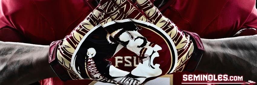 NoleBlooded's profile banner image