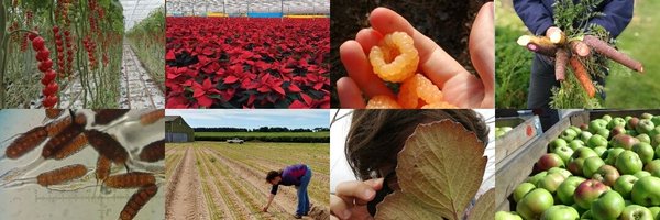 ADAS_Hortic Profile Banner