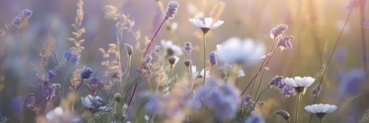 _Yeyaa's profile banner image