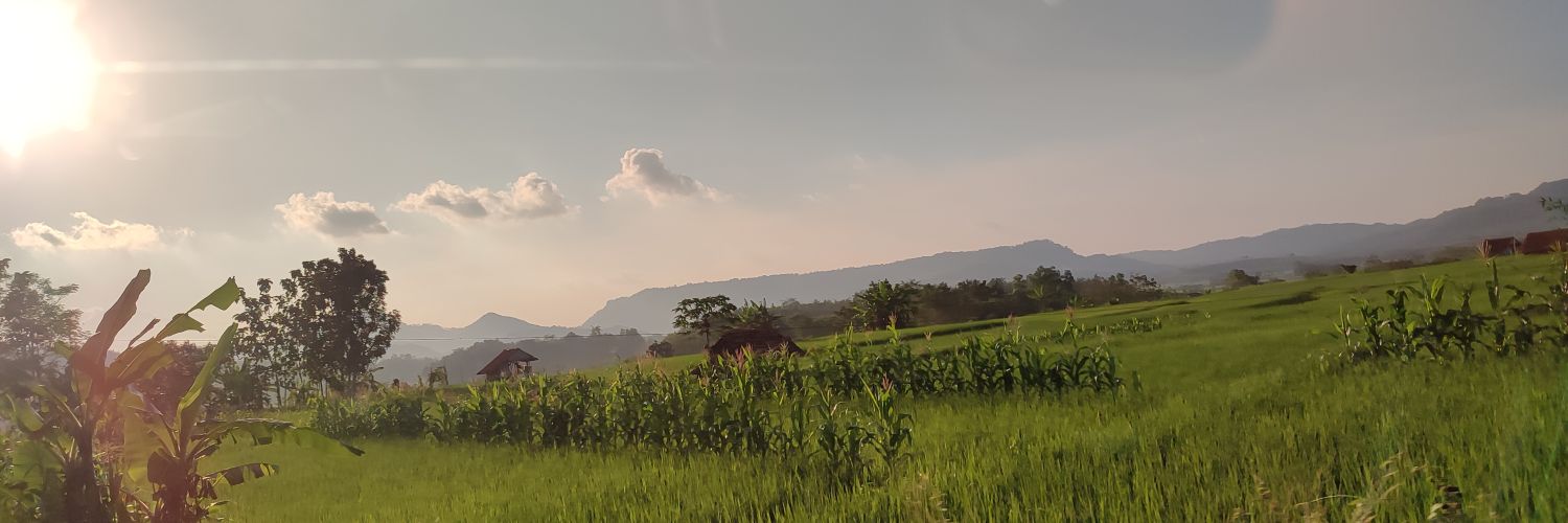 widky's profile banner image