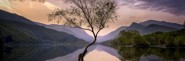 Sah_Lisu | 🏴󠁧󠁢󠁷󠁬󠁳󠁿🇯🇵 banner