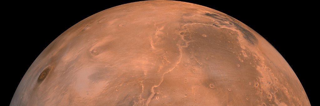 ViperUppercut banner