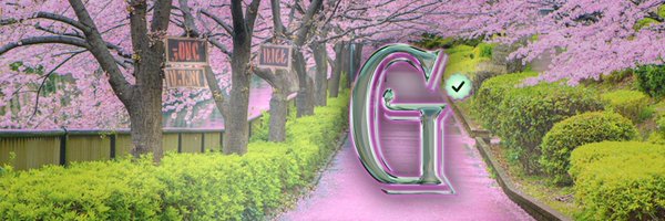 Too__Ging Profile Banner