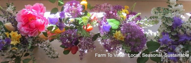 FarmToVase's profile banner image
