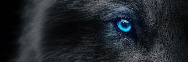 sasaelhamsik17 Profile Banner