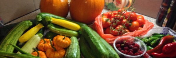 tigersprout Profile Banner