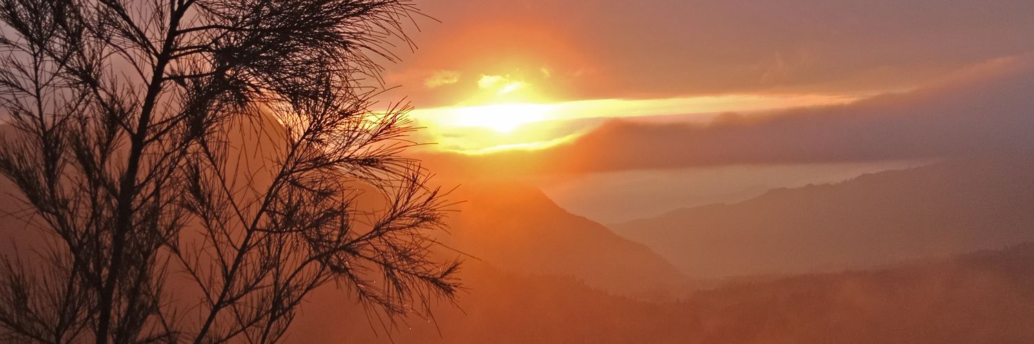 boisdeww's profile banner image