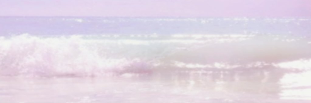 Lucía Flores banner