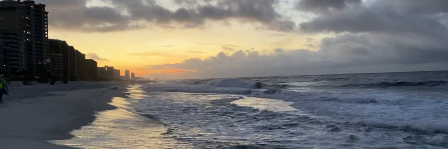 TheMsDudley's profile banner image