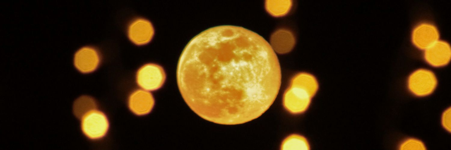 OscarPPgo's profile banner image