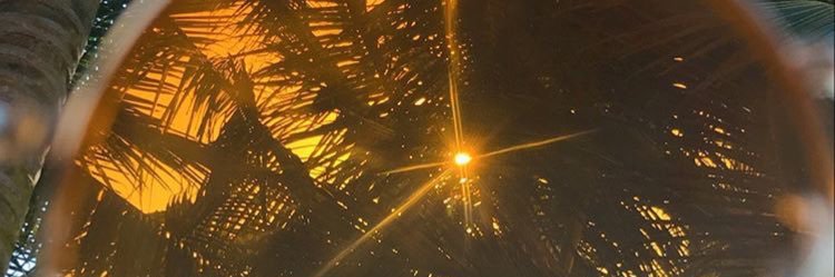 _Scarleth18's profile banner image