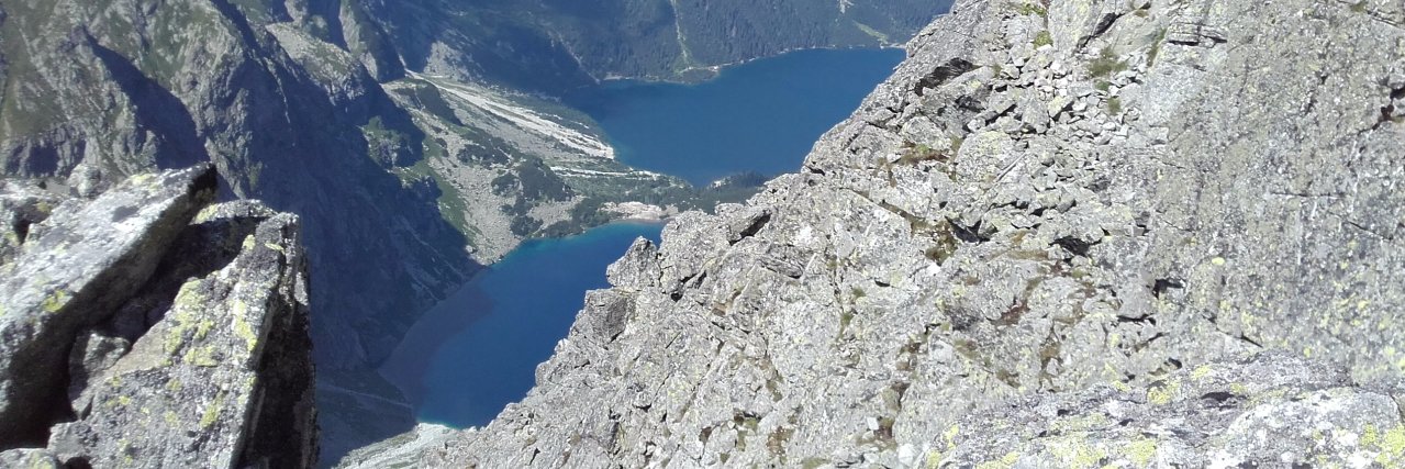 agata_rad's profile banner image