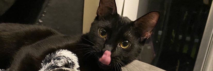 realsassmaster's profile banner image