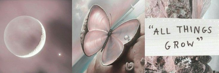 lampioan's profile banner image