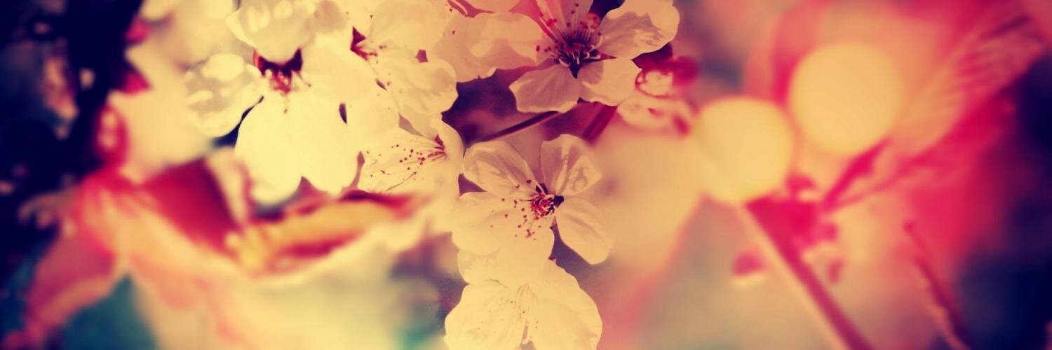 alisilverio's profile banner image