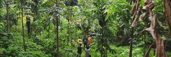 WithOneSeed Profile Banner