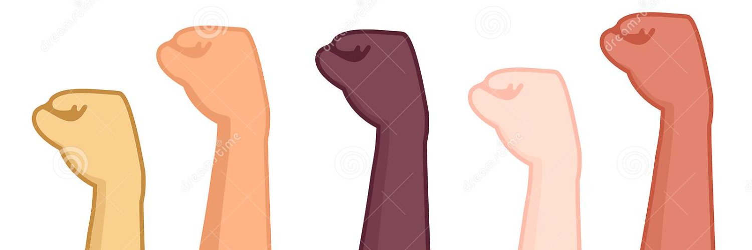 Angrybudgie's profile banner image