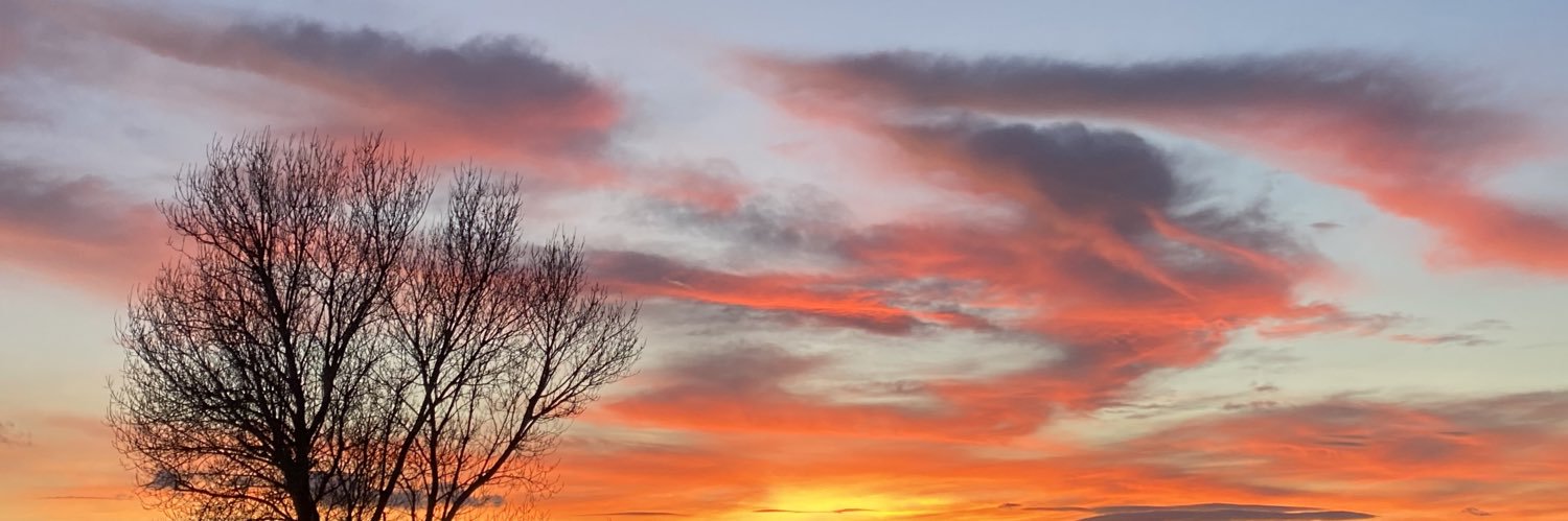 lucretm21's profile banner image