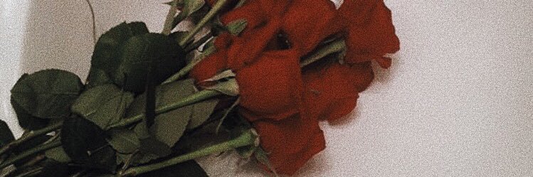 h_chiaki's profile banner image