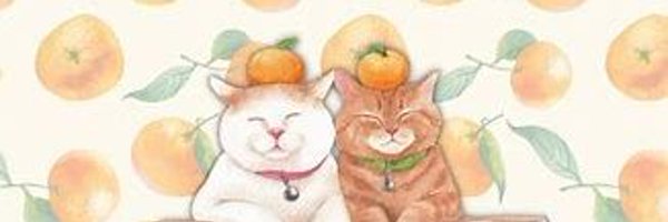 pacer_vt Profile Banner