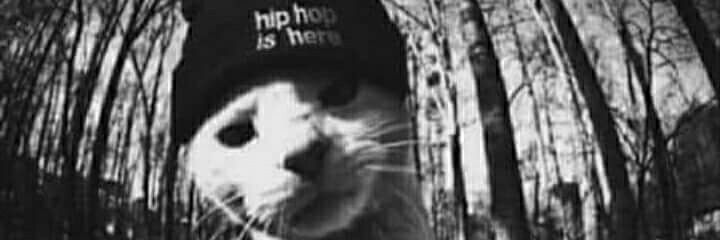 Andreskaiross's profile banner image