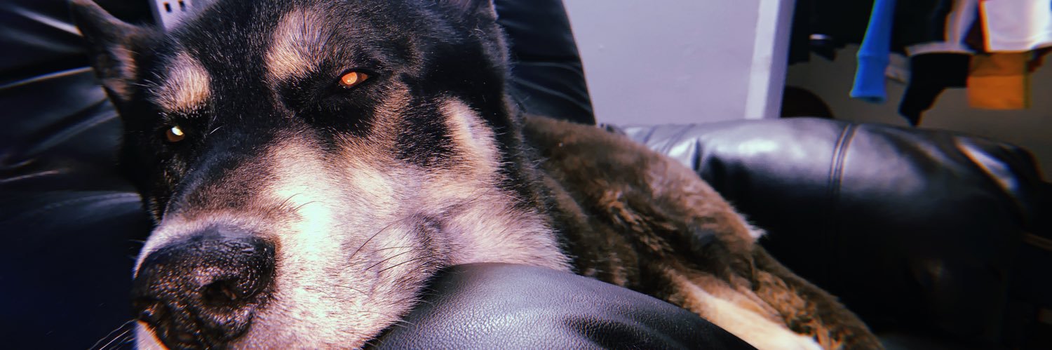 𝕮𝖍𝖊𝖑𝖔🦇🇩🇴 banner