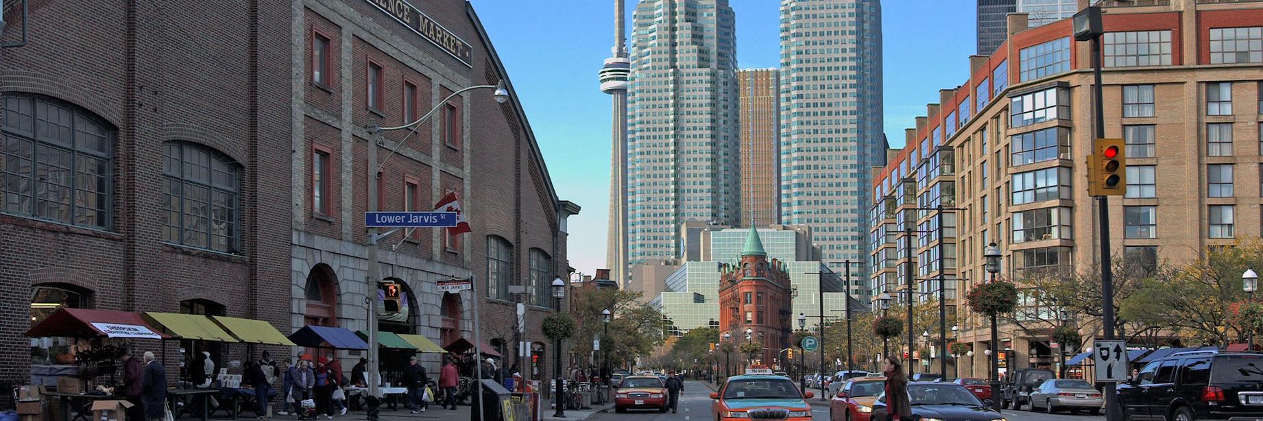 Rida Al Barazi banner