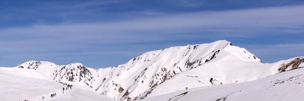 testdrivenio Profile Banner