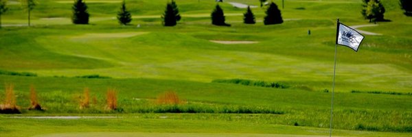 Slinger Boys Golf Profile Banner