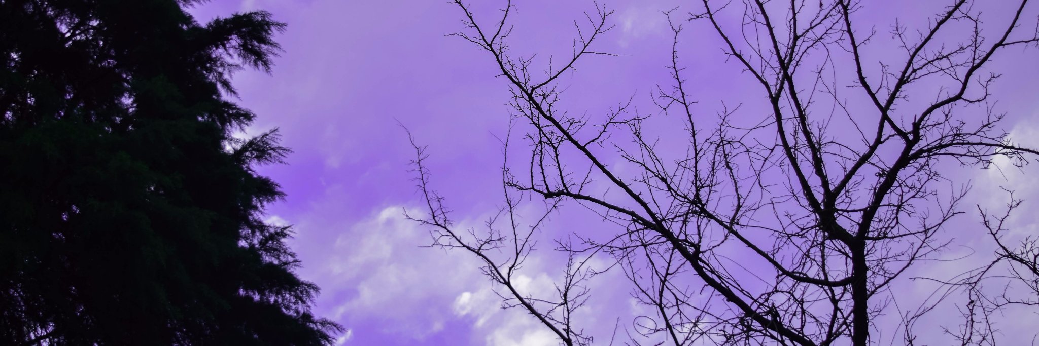 AntoListuer's profile banner image