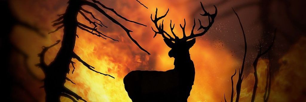 Baconfromhell's profile banner image