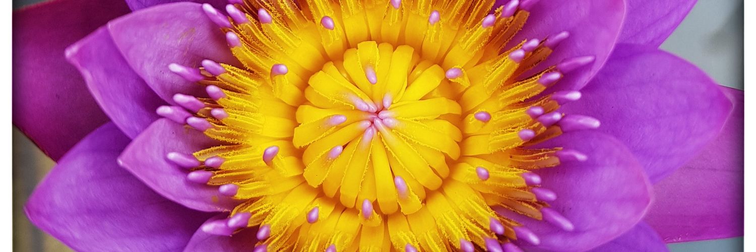 patriotic_Mayur's profile banner image