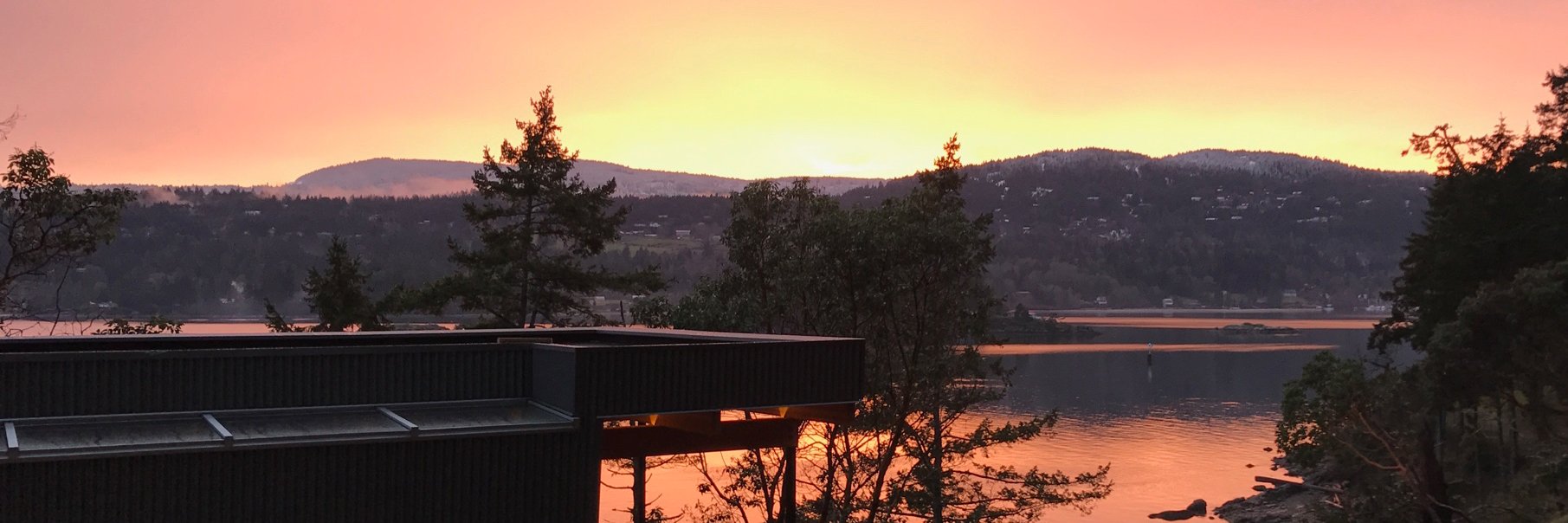 Michael Dillon banner