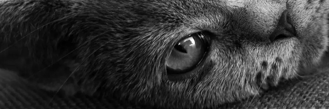 iqbaltanrir's profile banner image