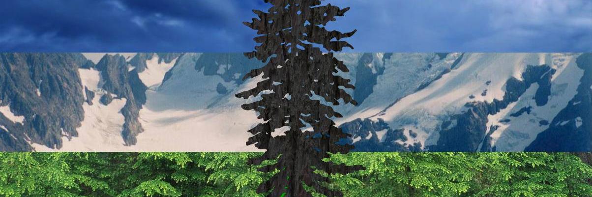 80adie's profile banner image