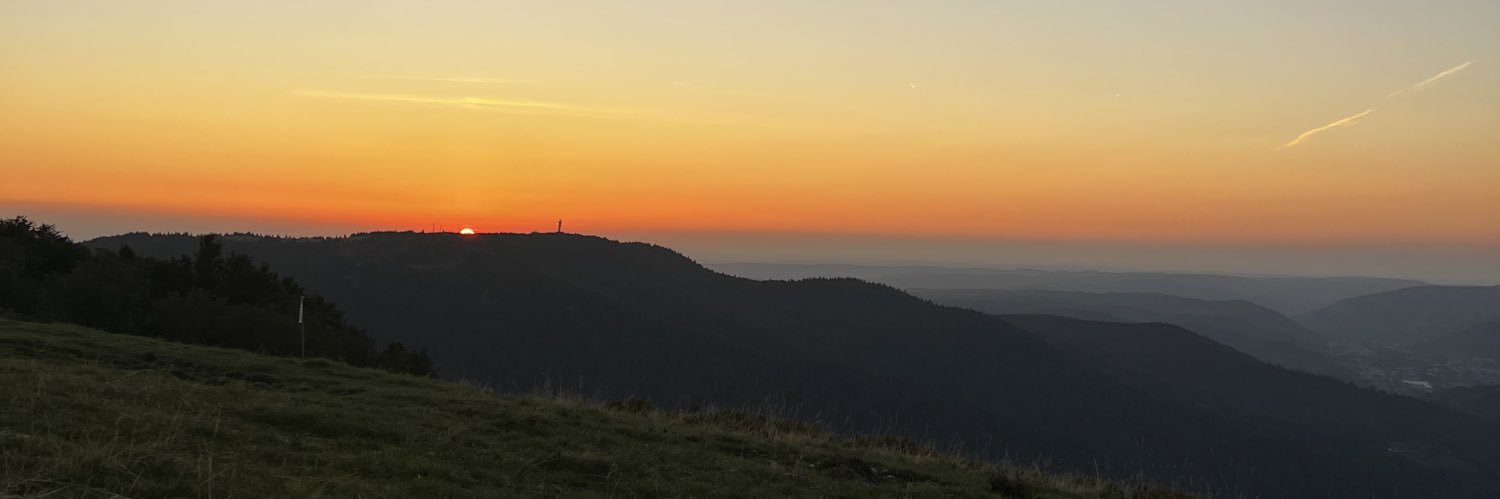 FlorinePeduzzi's profile banner image