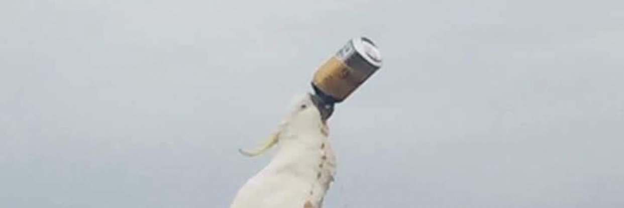 smoothknackers's profile banner image