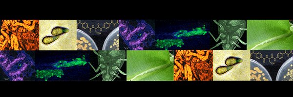 UMR_BGPI Profile Banner