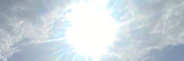 narimimi_mimimi Profile Banner