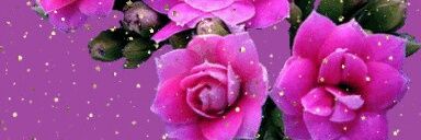 Naglaa Mohamed🌹💞 banner