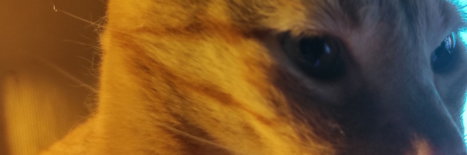 AreNow banner