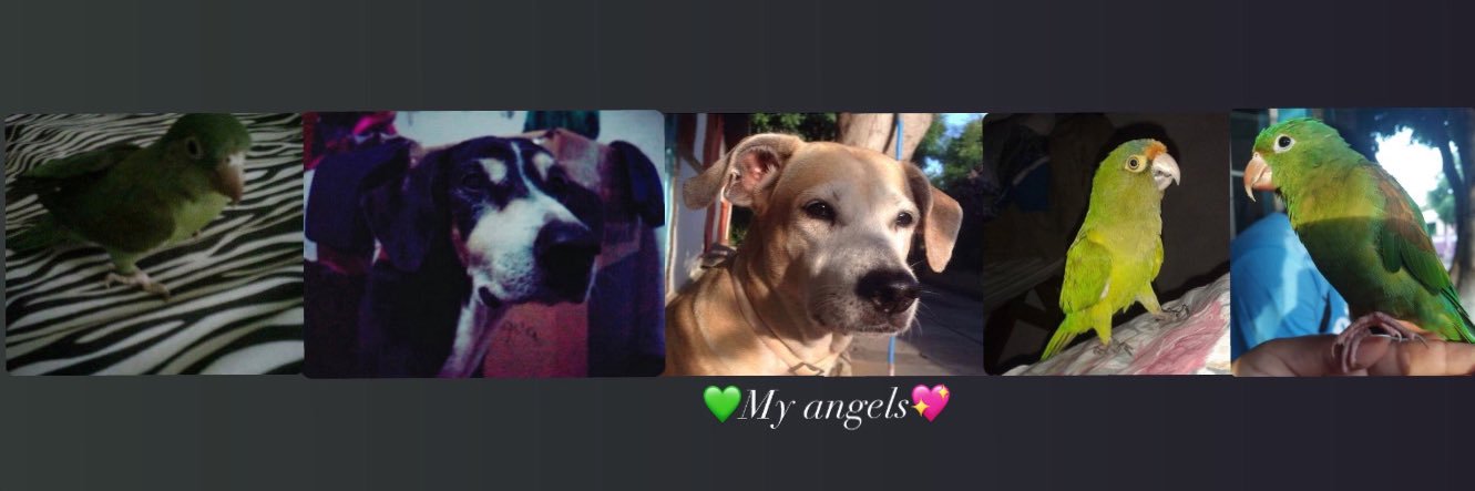 sweettuti15's profile banner image