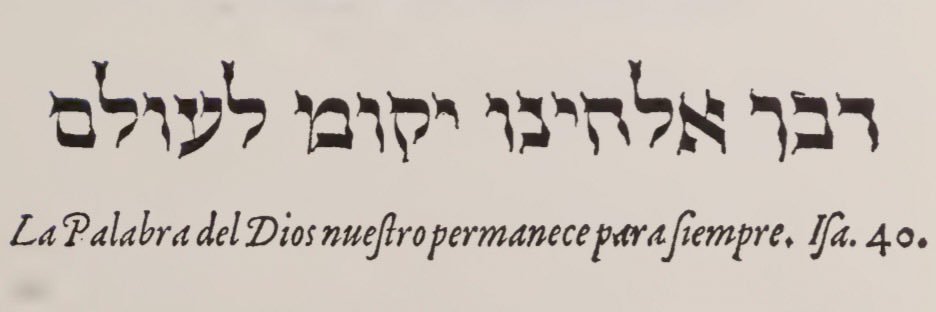 Fernando Rodríguez banner