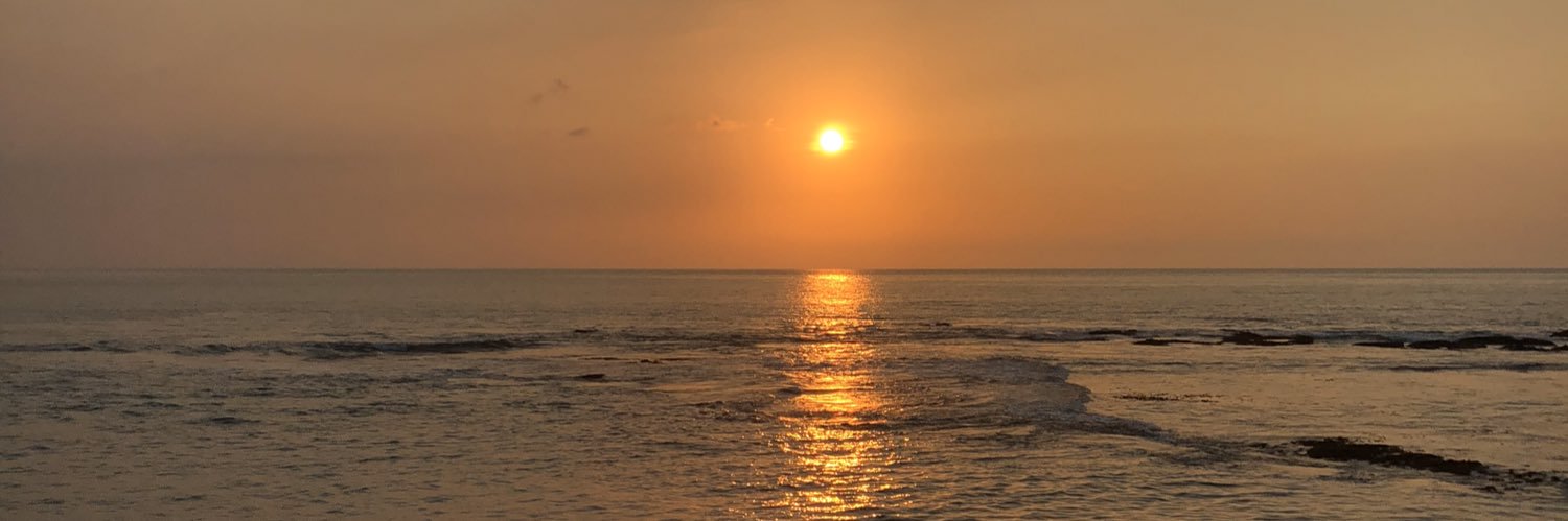 ryansaaputra's profile banner image
